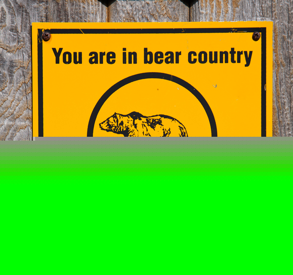 Bear Country