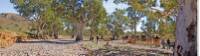 Crossing dry creek beds on the Remote Northern Flinders Camel Trek |  <i>Andrew Bain</i>