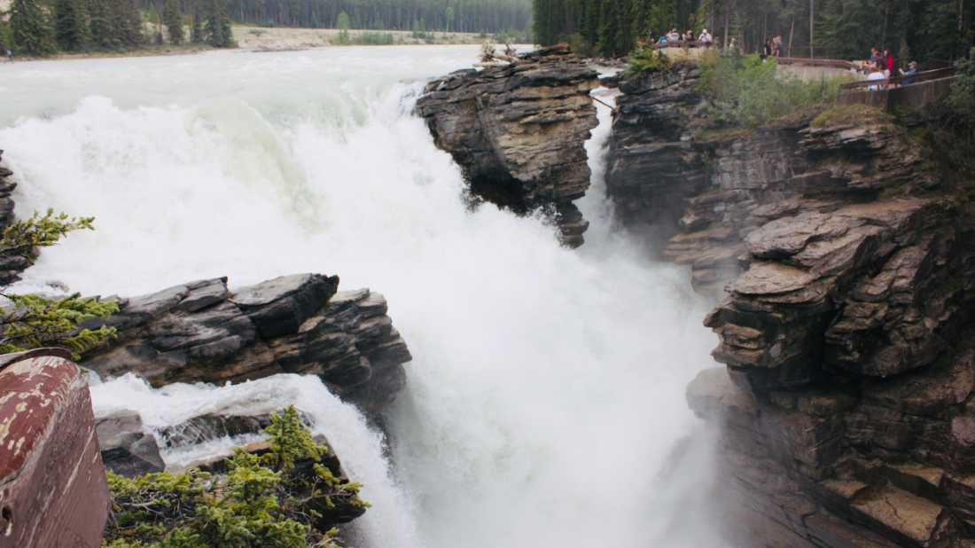 Athabasca Falls is a mighty cascade carved into Jasper’s limestone gorge |  Robin Esrock