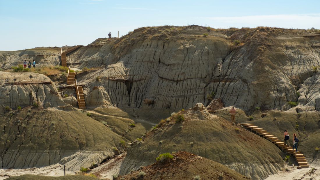 Step back 75 million years and trace the footprints of giants | Travel Alberta / Cody Baker