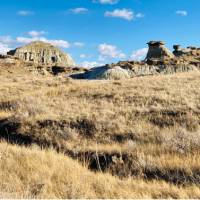 Exploring Dinosaur Provincial Park is a unique experience | Caroline Mongrain