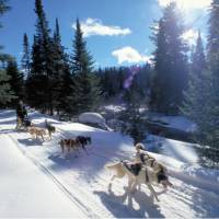 Dog sledding in Ontario wilderness trails on the Classic Canadian Winter Adventure