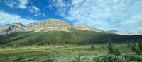 The scenery along the Icefields Parkway near Banff | Kalaya Mckenzie