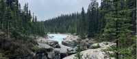 The Mistaya River formed this narrow canyon on its way to the North Saskatchewan River | Kalaya Mckenzie
