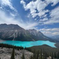 Gorgeous view from the Peyto Lake lookout | Kalaya Mckenzie