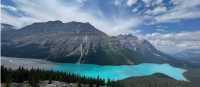 Gorgeous view from the Peyto Lake lookout | Kalaya Mckenzie