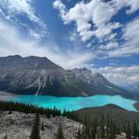 Gorgeous view from the Peyto Lake lookout | Kalaya Mckenzie