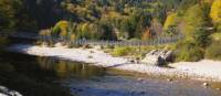 Big Salmon River hanging bridge | Keri May