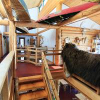 Learn about local culture and enjoy warm hospitality in Canada's North | Rahela Jagric