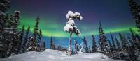 Winter under the Auroral Oval, Northwest Territories | Martina Gebrovska