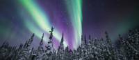 Dancing Northern Lights can be viewed right from your room at the eco-lodge | Martina Gebrovska