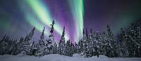 Dancing Northern Lights can be viewed right from your room at the eco-lodge | Martina Gebrovska