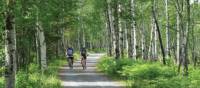 Cycling through Pt.Taillon National Park along Lac St. Jean, Quebec