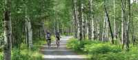 Cycling through Pt.Taillon National Park along Lac St. Jean, Quebec