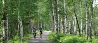 Cycling through Pt.Taillon National Park along Lac St. Jean, Quebec