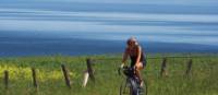 Veloroute des Bleuets in Saguenay-Lac-St-Jean, Quebec | Charles-David Robitaille