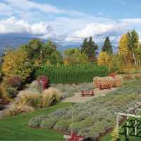 Savour plenty of locally grown quality agricultural products | Annika Rautiola