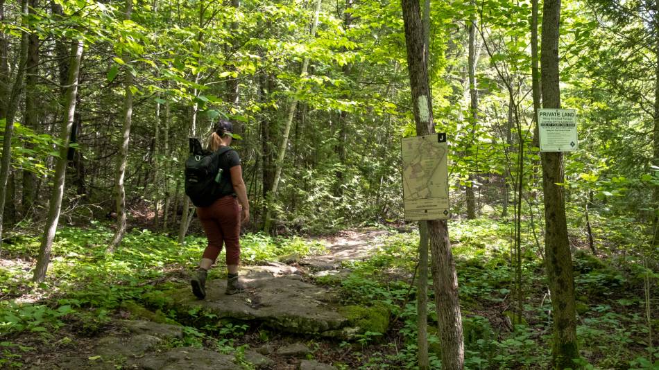 Hiking through Lions' Head forest |  <i>Élise Arsenault</i>