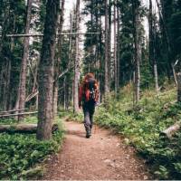 Lace-up your hiking boots, take a deep breath of forest air