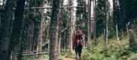 Lace-up your hiking boots, take a deep breath of forest air