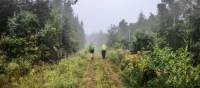 Boreal needleleaf forests or woodlands of Charlevoix | Leigh McAdam