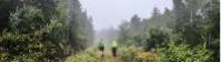 Boreal needleleaf forests or woodlands of Charlevoix |  <i>Leigh McAdam</i>