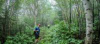 Magical forests of Charlevoix UNESCO Biosphere Reserve | Leigh McAdam