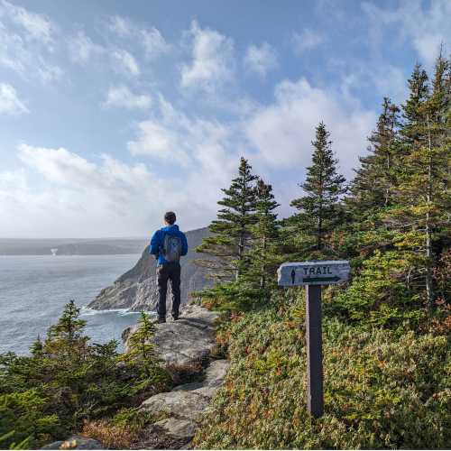 Hike Newfoundland's Northern East Coast Trail: 7-Day B&B Adventure