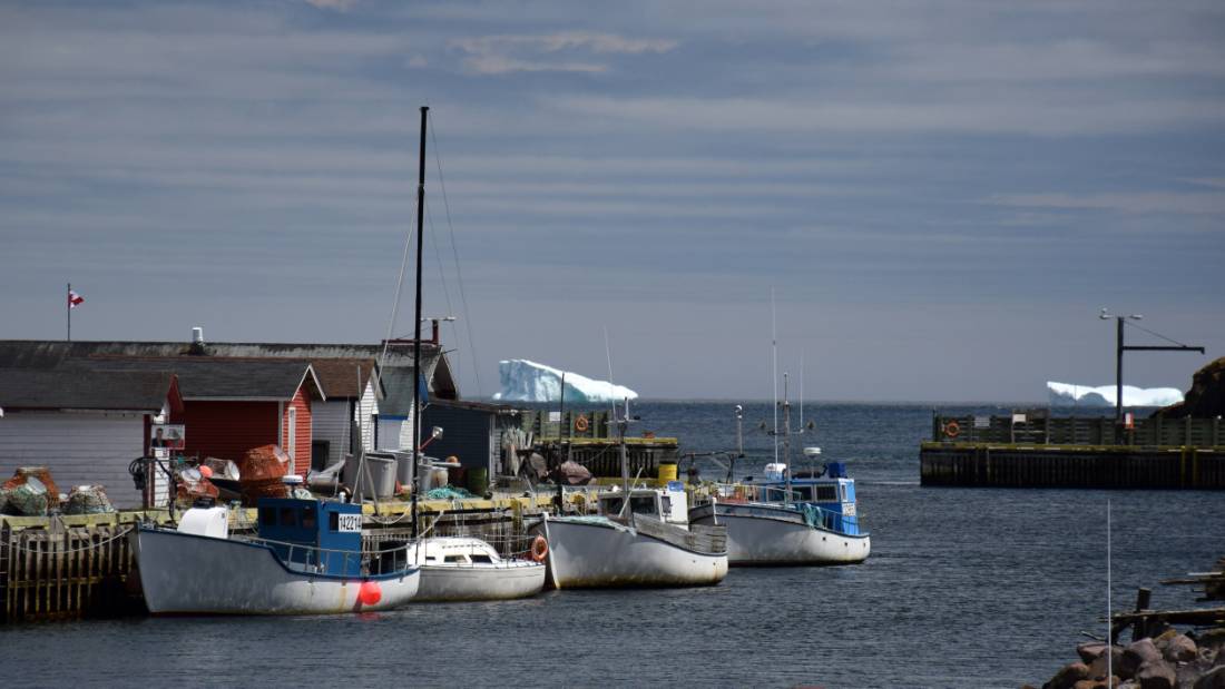 Watching icebergs passing at Petty Harbour |  <i>Nathalie Gauthier</i>