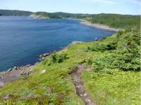 Contemplating the vast, unspoilt wilderness of Newfoundland |  <i>Caroline Mongrain</i>