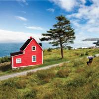 'The Cribbies' on Newfoundland's East Coast Trail | Barrett & MacKay Photo