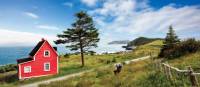 'The Cribbies' on Newfoundland's East Coast Trail | Barrett & MacKay Photo