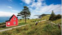 'The Cribbies' on Newfoundland's East Coast Trail |  <i>Barrett & MacKay Photo</i>