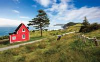 'The Cribbies' on Newfoundland's East Coast Trail |  <i>Barrett & MacKay Photo</i>