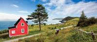 'The Cribbies' on Newfoundland's East Coast Trail | Barrett & MacKay Photo