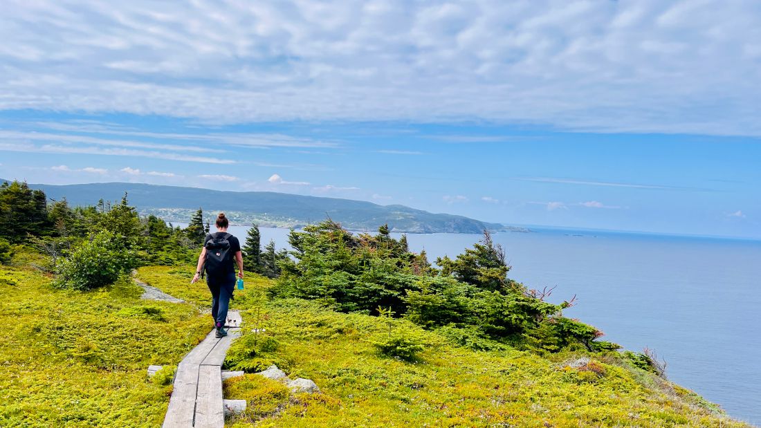 Hiking the East Coast Trail offers sweeping views of the Atlantic Ocean |  Sue Badyari