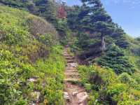 The Sugarloaf Path's steep climbs are rewarded with beautiful coastal viewpoints |  Sarah Hill