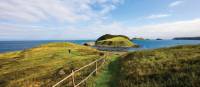 Island views from the East Coast Trail at Tors Cove | Barrett & MacKay Photo