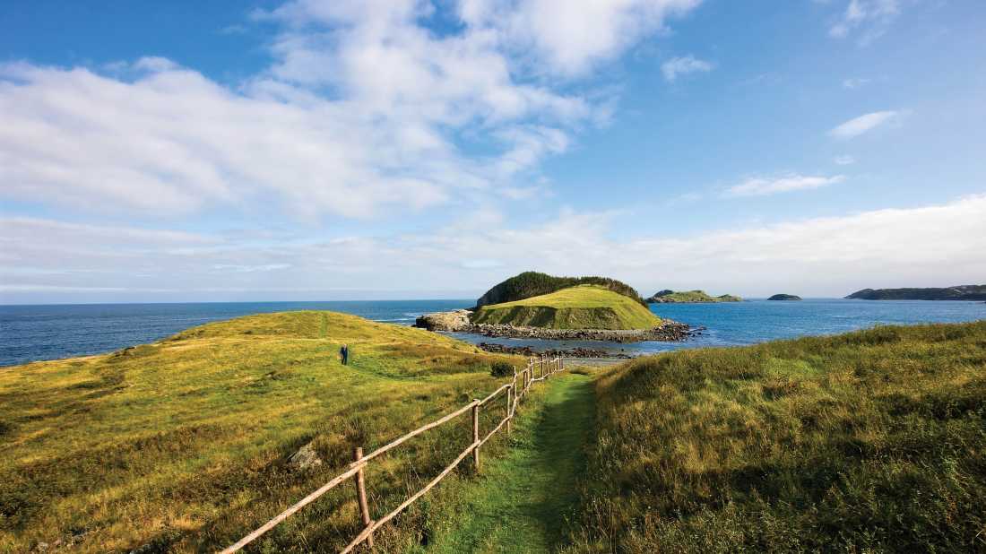 Island views from the East Coast Trail at Tors Cove | Barrett & MacKay Photo