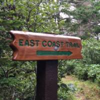 The trail runs through the coastal boreal forest |  <i>Chantel Keogh</i>