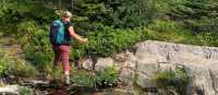 Hiking poles really help on slippery terrain along the trail |  Julie Demers