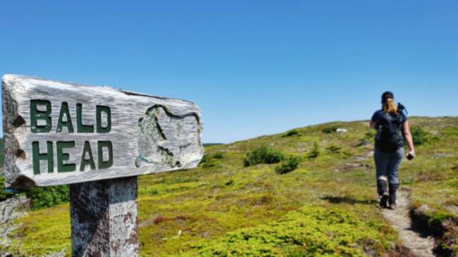 Nice day for a hike on the East Coast Trail | Sherry Ott