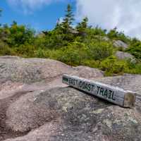 Trail marker on the Bawdens Highland | Sherry Ott