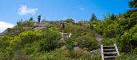 Climbing up the Sugarloaf path near St. John's, Newfoundland | Sherry Ott
