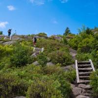 Climbing up the Sugarloaf path near St. John's, Newfoundland | Sherry Ott