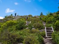 Climbing up the Sugarloaf path near St. John's, Newfoundland |  <i>Sherry Ott</i>