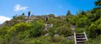 Climbing up the Sugarloaf path near St. John's, Newfoundland | Sherry Ott