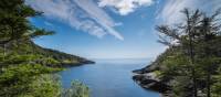 A wilderness path along Newfoundlan’s Avalon Peninsula | Sherry Ott