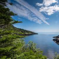 A wilderness path along Newfoundlan’s Avalon Peninsula | Sherry Ott