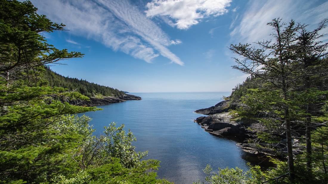 A wilderness path along Newfoundlan’s Avalon Peninsula |  <i>Sherry Ott</i>